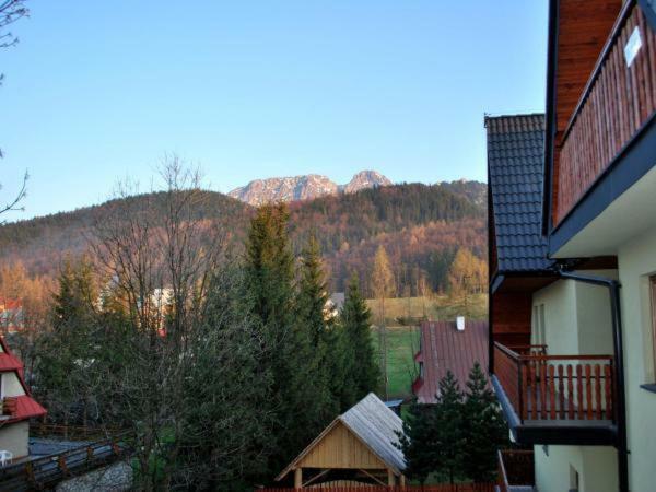 Apartament Domino - Krzeptowki 06 Zakopane Dış mekan fotoğraf